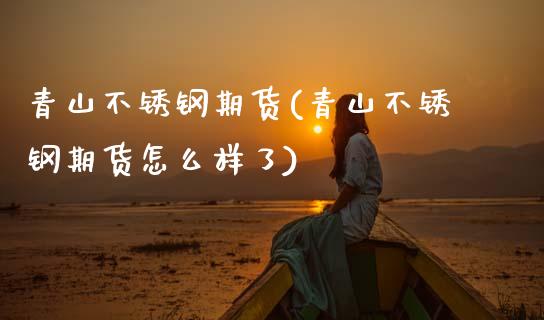 青山不锈钢期货(青山不锈钢期货怎么样了)_https://www.zztgc.com_期货入门_第1张