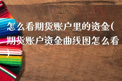 怎么看期货账户里的资金(期货账户资金曲线图怎么看)_https://www.zztgc.com_期货行情_第1张