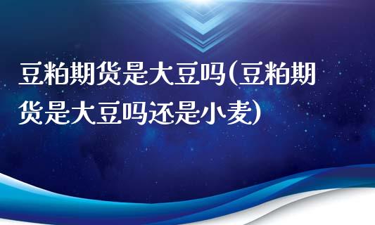 豆粕期货是大豆吗(豆粕期货是大豆吗还是小麦)_https://www.zztgc.com_原油期货_第1张