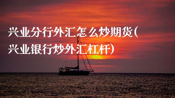 兴业分行外汇怎么炒期货(兴业银行炒外汇杠杆)_https://www.zztgc.com_原油期货_第1张