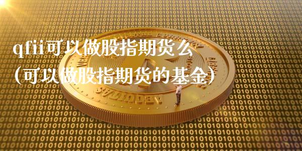 qfii可以做股指期货么(可以做股指期货的基金)_https://www.zztgc.com_期货直播_第1张