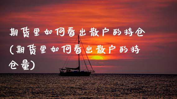 期货里如何看出散户的持仓(期货里如何看出散户的持仓量)_https://www.zztgc.com_期货入门_第1张