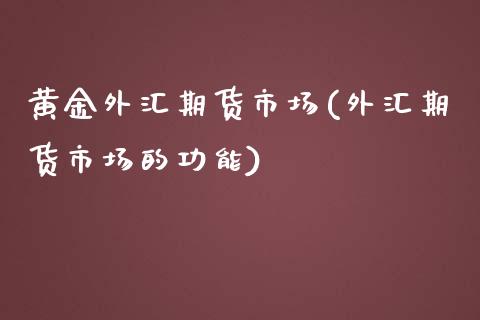 黄金外汇期货市场(外汇期货市场的功能)_https://www.zztgc.com_期货入门_第1张