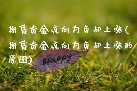 期货资金流向为负却上涨(期货资金流向为负却上涨的原因)_https://www.zztgc.com_原油期货_第1张