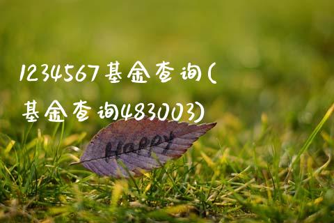 1234567基金查询(基金查询483003)_https://www.zztgc.com_黄金期货_第1张