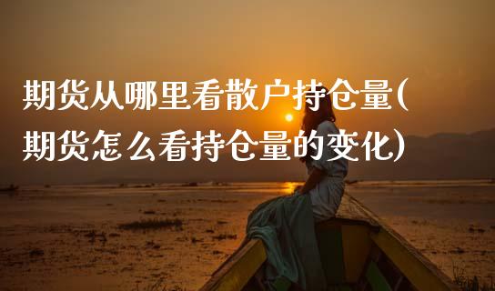期货从哪里看散户持仓量(期货怎么看持仓量的变化)_https://www.zztgc.com_原油期货_第1张