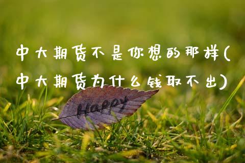 中大期货不是你想的那样(中大期货为什么钱取不出)_https://www.zztgc.com_期货入门_第1张