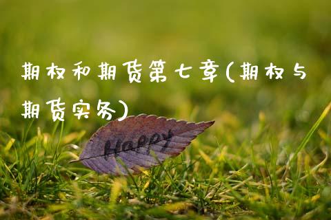 期权和期货第七章(期权与期货实务)_https://www.zztgc.com_期货入门_第1张