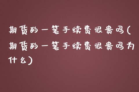 期货的一笔手续费很贵吗(期货的一笔手续费很贵吗为什么)_https://www.zztgc.com_期货直播_第1张