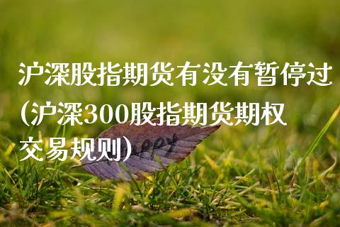 沪深股指期货有没有暂停过(沪深300股指期货期权交易规则)_https://www.zztgc.com_期货行情_第1张