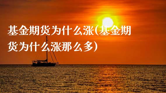 基金期货为什么涨(基金期货为什么涨那么多)_https://www.zztgc.com_期货入门_第1张