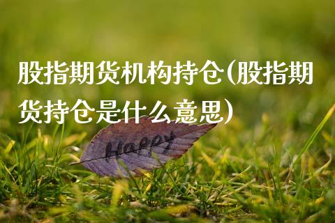 股指期货机构持仓(股指期货持仓是什么意思)_https://www.zztgc.com_期货行情_第1张