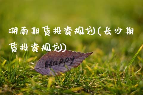 湖南期货投资规划(长沙期货投资规划)_https://www.zztgc.com_期货行情_第1张
