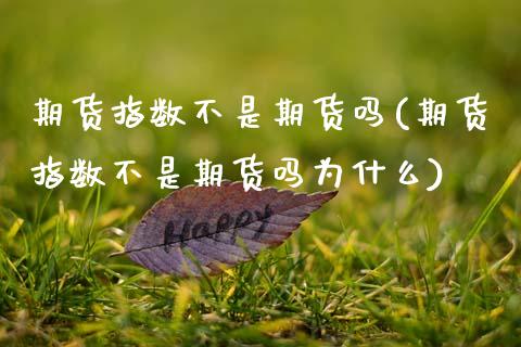 期货指数不是期货吗(期货指数不是期货吗为什么)_https://www.zztgc.com_黄金期货_第1张