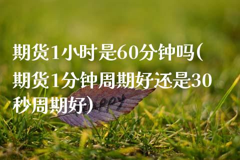 期货1小时是60分钟吗(期货1分钟周期好还是30秒周期好)_黄金期货_第1张_珍投期货网 期货1小时是60分钟吗(期货1分钟周期好还是30秒周期好)_https://www.zztgc.com_黄金期货_第1张