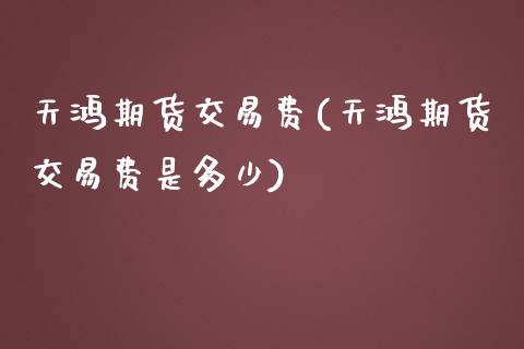 天鸿期货交易费(天鸿期货交易费是多少)_https://www.zztgc.com_期货直播_第1张