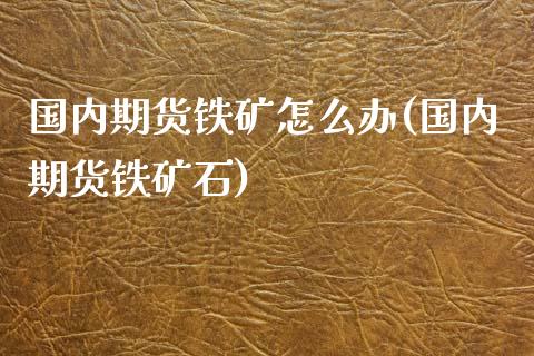 国内期货铁矿怎么办(国内期货铁矿石)_https://www.zztgc.com_期货入门_第1张
