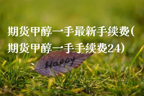 期货甲醇一手最新手续费(期货甲醇一手手续费24)_https://www.zztgc.com_黄金期货_第1张