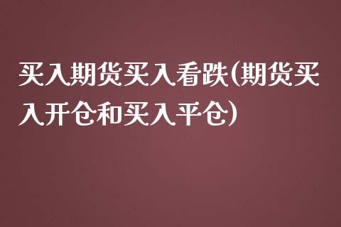 买入期货买入看跌(期货买入开仓和买入平仓)_https://www.zztgc.com_期货直播_第1张