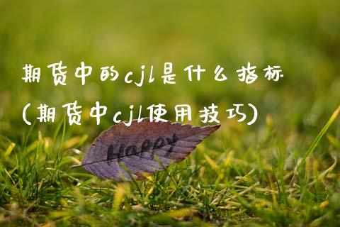 期货中的cjl是什么指标(期货中cjl使用技巧)_https://www.zztgc.com_黄金期货_第1张