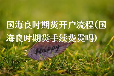 国海良时期货开户流程(国海良时期货手续费贵吗)_https://www.zztgc.com_原油期货_第1张