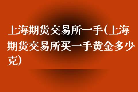 上海期货交易所一手(上海期货交易所买一手黄金多少克)_https://www.zztgc.com_期货直播_第1张