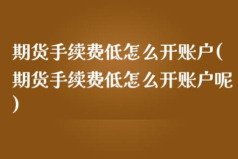 期货手续费低怎么开账户(期货手续费低怎么开账户呢)_https://www.zztgc.com_黄金期货_第1张