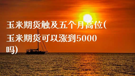 玉米期货触及五个月高位(玉米期货可以涨到5000吗)_https://www.zztgc.com_原油期货_第1张