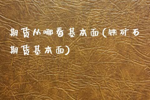 期货从哪看基本面(铁矿石期货基本面)_https://www.zztgc.com_期货行情_第1张