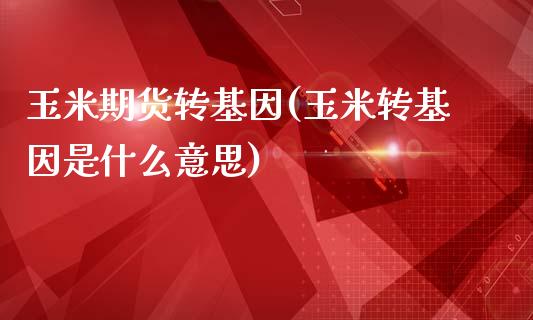 玉米期货转基因(玉米转基因是什么意思)_https://www.zztgc.com_期货直播_第1张