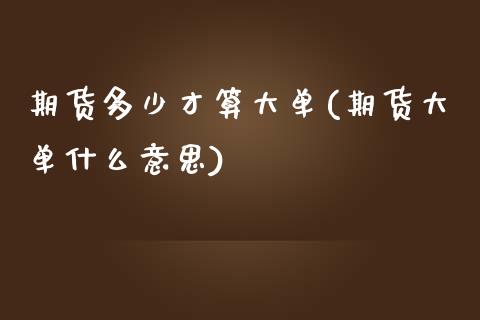 期货多少才算大单(期货大单什么意思)_https://www.zztgc.com_期货直播_第1张