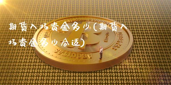 期货入场资金多少(期货入场资金多少合适)_https://www.zztgc.com_期货行情_第1张