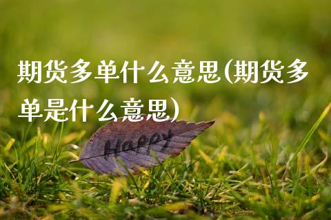 期货多单什么意思(期货多单是什么意思)_https://www.zztgc.com_黄金期货_第1张
