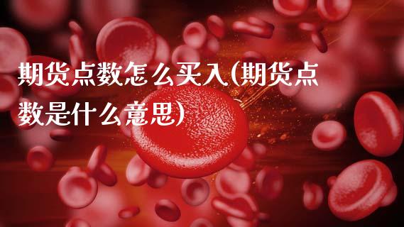 期货点数怎么买入(期货点数是什么意思)_https://www.zztgc.com_期货入门_第1张