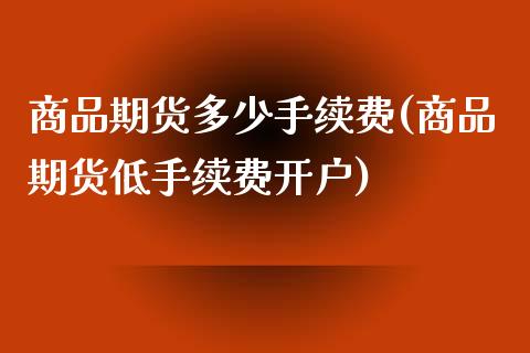 商品期货多少手续费(商品期货低手续费开户)_https://www.zztgc.com_黄金期货_第1张