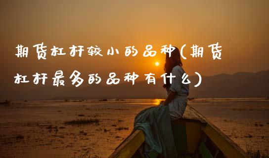 期货杠杆较小的品种(期货杠杆最多的品种有什么)_https://www.zztgc.com_期货入门_第1张