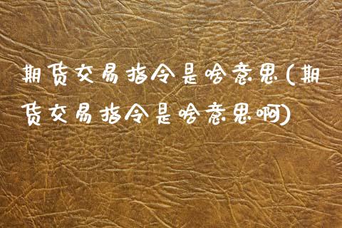 期货交易指令是啥意思(期货交易指令是啥意思啊)_https://www.zztgc.com_期货开户_第1张