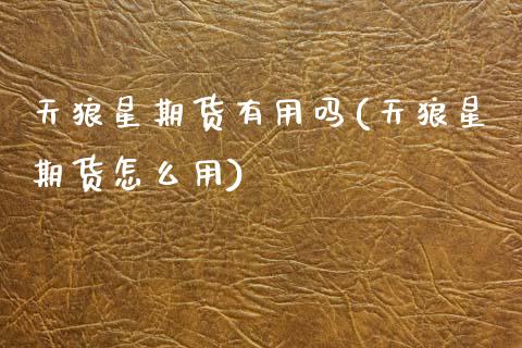 天狼星期货有用吗(天狼星期货怎么用)_https://www.zztgc.com_黄金期货_第1张