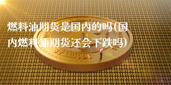 燃料油期货是国内的吗(国内燃料油期货还会下跌吗)_https://www.zztgc.com_期货入门_第1张
