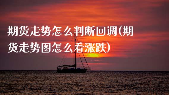 期货走势怎么判断回调(期货走势图怎么看涨跌)_https://www.zztgc.com_期货行情_第1张