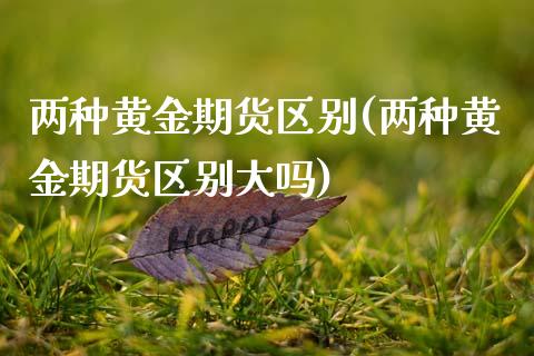 两种黄金期货区别(两种黄金期货区别大吗)_https://www.zztgc.com_期货直播_第1张