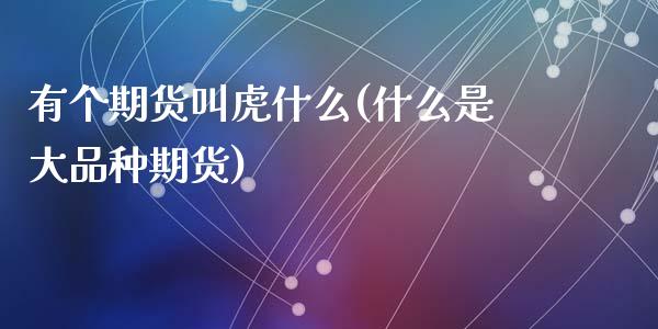 有个期货叫虎什么(什么是大品种期货)_https://www.zztgc.com_期货行情_第1张
