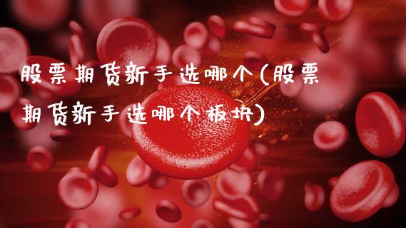 股票期货新手选哪个(股票期货新手选哪个板块)_https://www.zztgc.com_原油期货_第1张