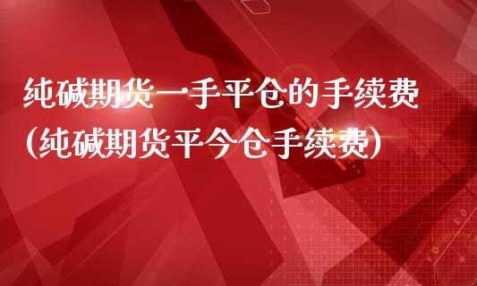纯碱期货一手平仓的手续费(纯碱期货平今仓手续费)_https://www.zztgc.com_原油期货_第1张