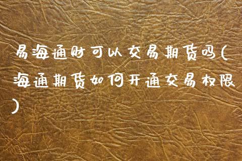 易海通财可以交易期货吗(海通期货如何开通交易权限)_https://www.zztgc.com_期货开户_第1张