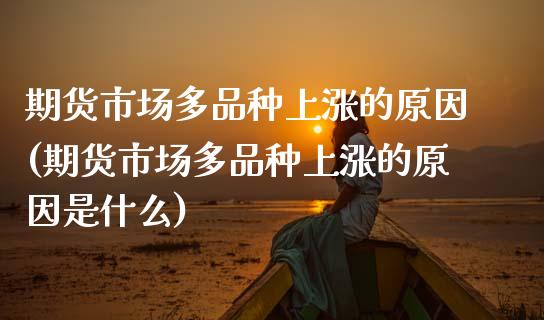 期货市场多品种上涨的原因(期货市场多品种上涨的原因是什么)_https://www.zztgc.com_期货直播_第1张