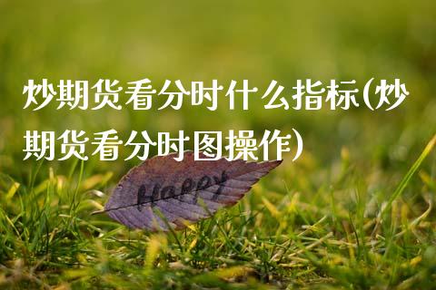炒期货看分时什么指标(炒期货看分时图操作)_https://www.zztgc.com_期货入门_第1张
