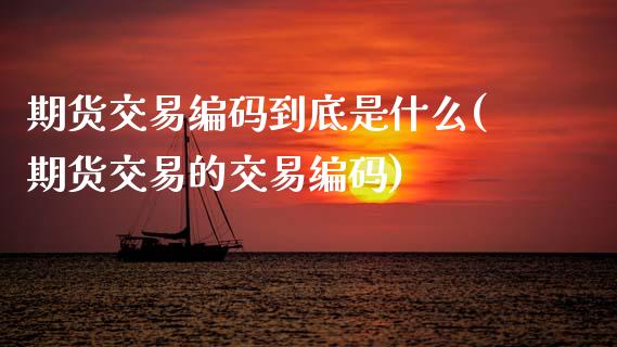 期货交易编码到底是什么(期货交易的交易编码)_https://www.zztgc.com_期货开户_第1张