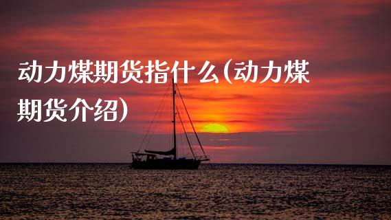 动力煤期货指什么(动力煤期货介绍)_https://www.zztgc.com_原油期货_第1张