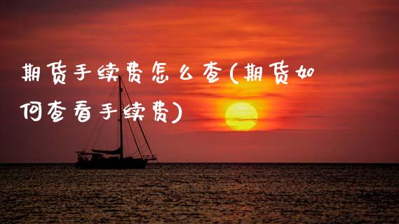 期货手续费怎么查(期货如何查看手续费)_https://www.zztgc.com_黄金期货_第1张